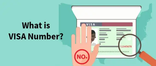 All You Need to Know About Visa Number - Significance & Usage