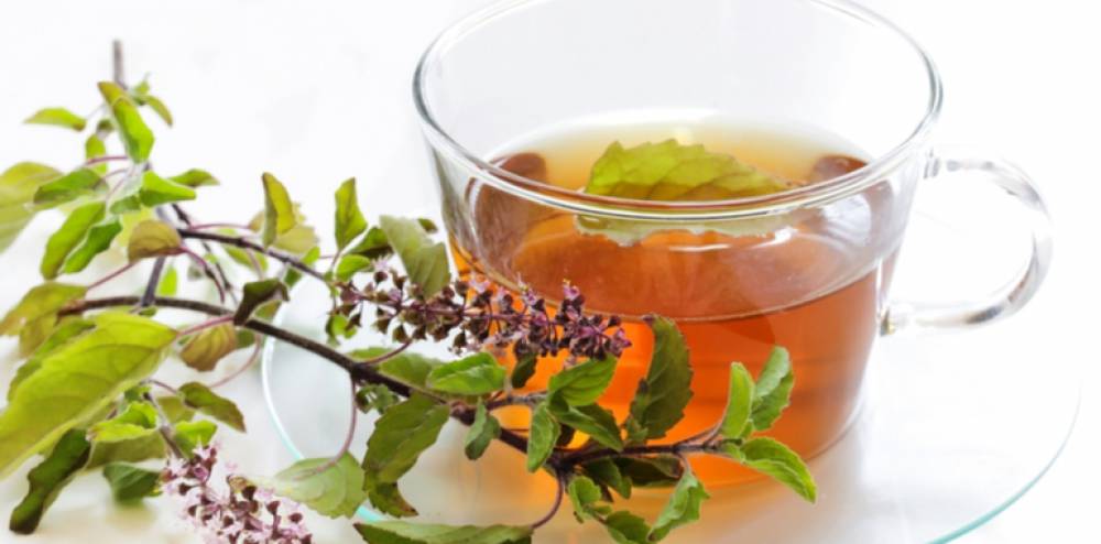 Remarkable Health Benefits of Tulsi Leaves You Must Know