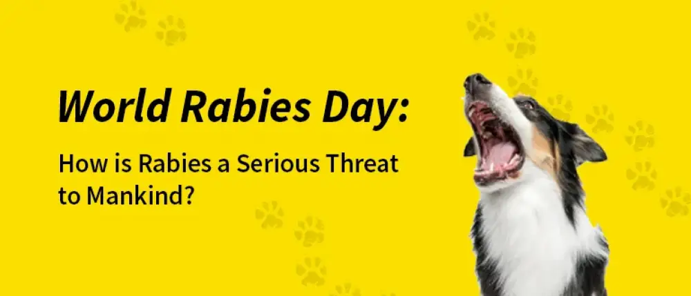 World Rabies Day: How is Rabies a Serious Threat to Mankind?