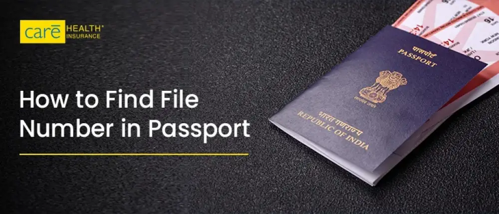 How to Find File Number in Passport?