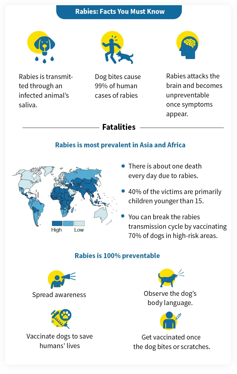 rabies facts