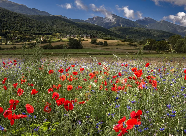 Romania