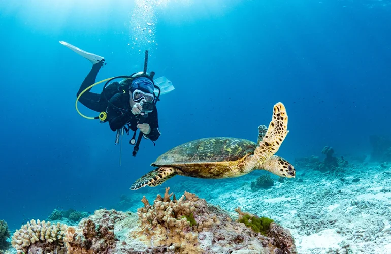 Scuba Diving in Puerto Madryn Scuba Diving in Puerto Madryn