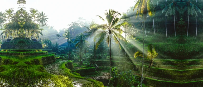 Bali