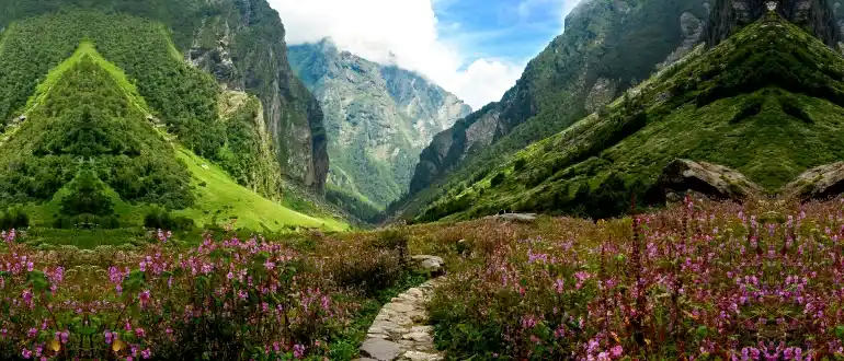 Valley of Flowers Valley of Flowers