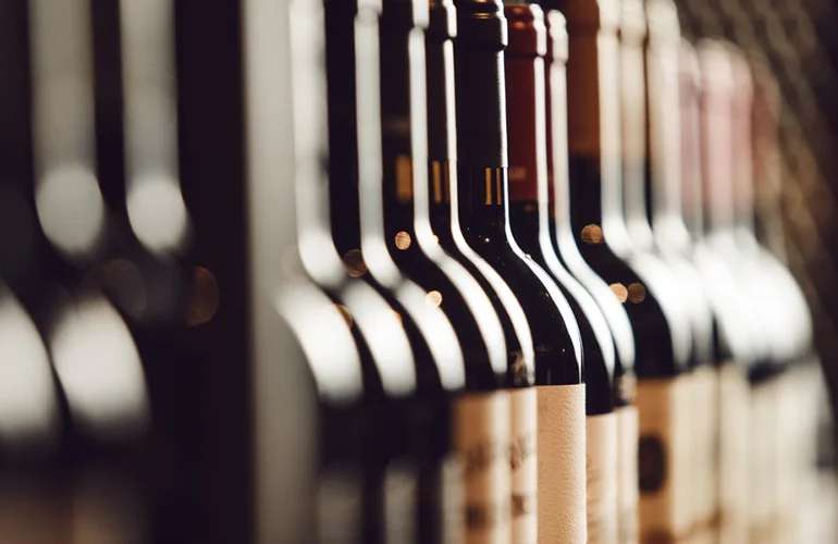 Wine Tours in Mendoza Wine Tours in Mendoza